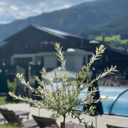 Ξενοδοχείο Senningerbraeu