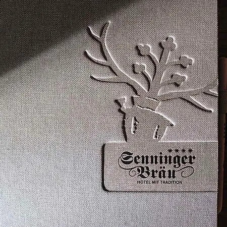 ホテル Senningerbraeu ブラームベルク・アム・ヴィルトコーゲル
